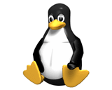 Static Tux